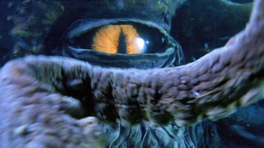 Octopus 2: River of Fear