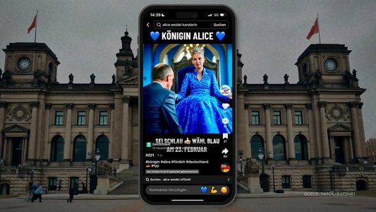 Die TikTok-Armee der AfD