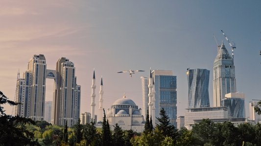 Sinek Gibi