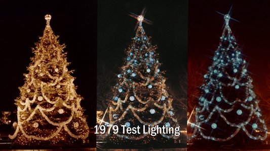The National Christmas Tree, A Century of Celebration
