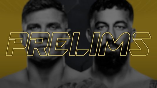 UFC Fight Night 254: Vettori vs. Dolidze 2