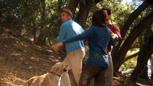 The Gold Retrievers