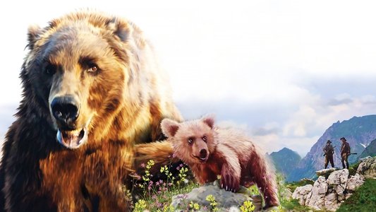 L'Ours