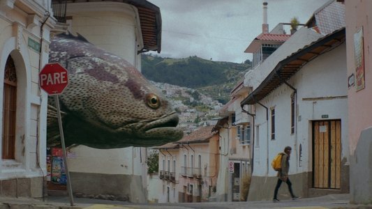 Alucina
