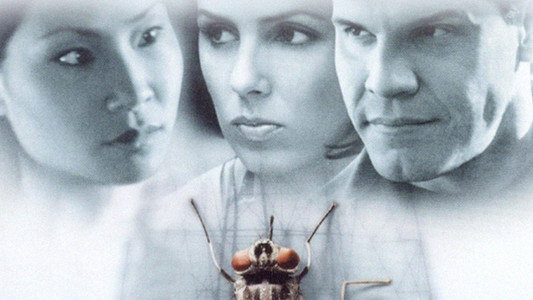 Flypaper