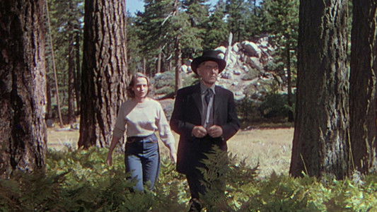 The Shepherd of the Hills