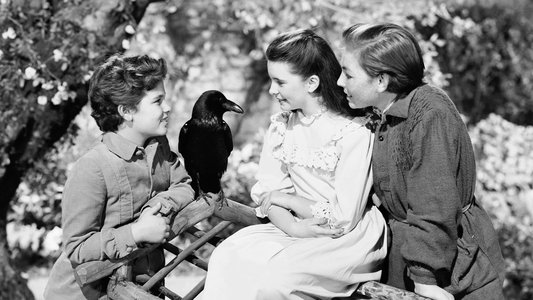 The Secret Garden