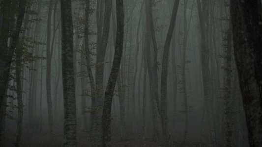 Καταφύγιο II: Το μονοπάτι του πάγου