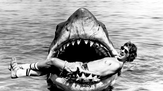 Steven Spielberg, l'homme et l'enfant