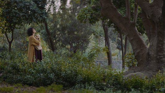 Κάμπια Νύμφη Πεταλούδα