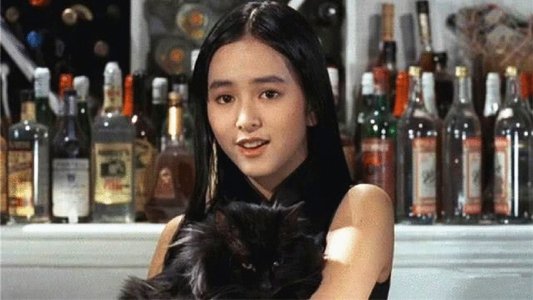 衛斯理之老貓