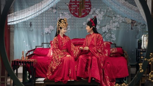 赘婿