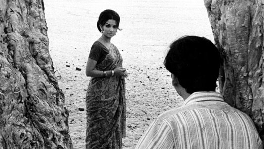অরণ্যের দিনরাত্রি