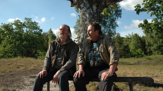 Små mirakel och stora
