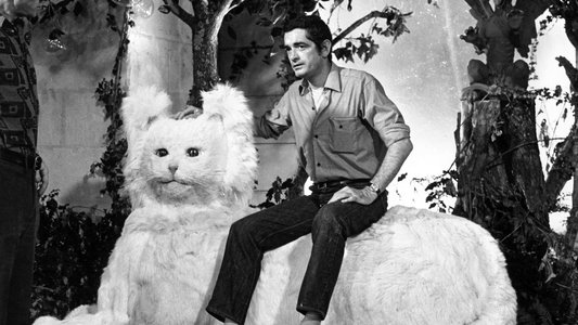 Jacques Demy, le rose et le noir