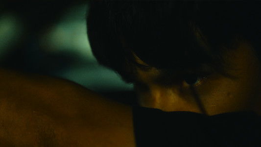 Les Cendres Du Coeur