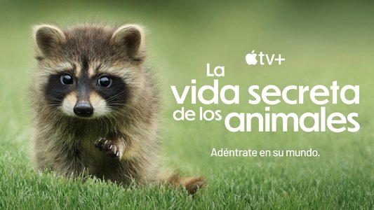 The Secret Lives of Animals