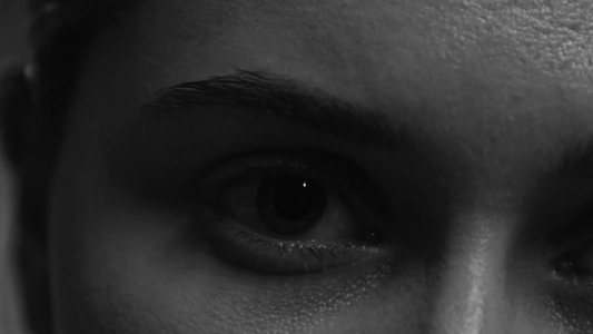 Echo Awake