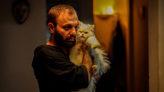 لاک‌پشت