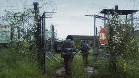 Annihilation