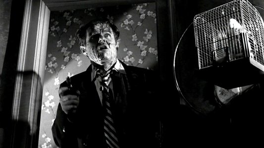 The Killing