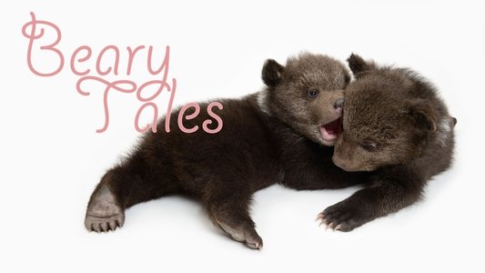 Beary Tales