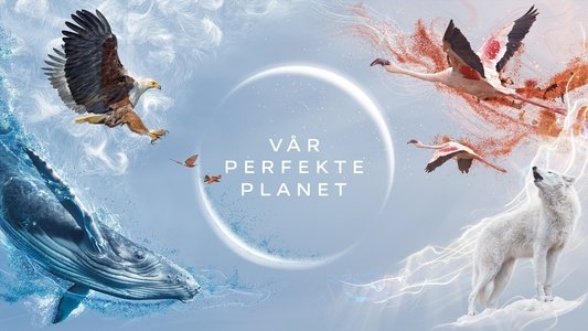A Perfect Planet