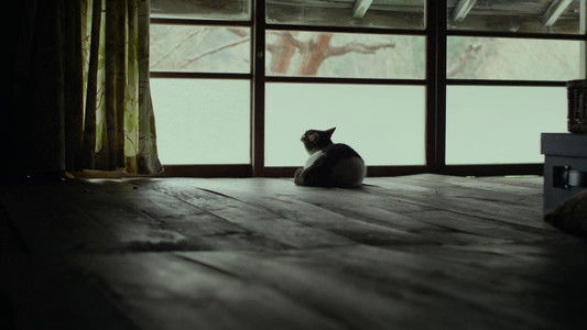 リトル・フォレスト 夏・秋