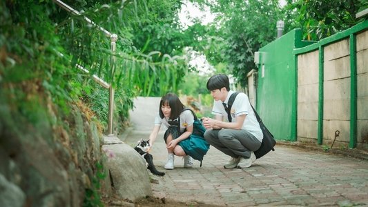너의 시간 속으로