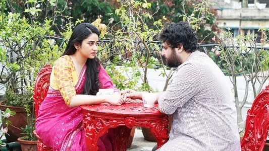 জামাই এল ঘরে