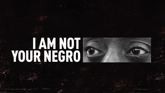 I Am Not Your Negro