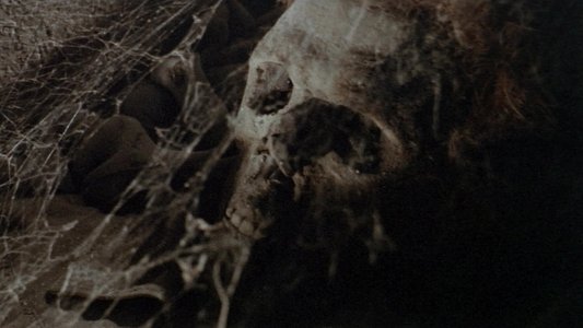 Nella stretta morsa del ragno