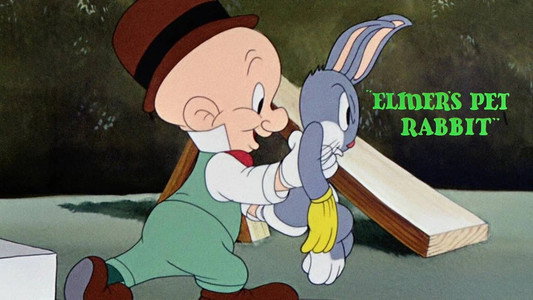 Elmer's Pet Rabbit