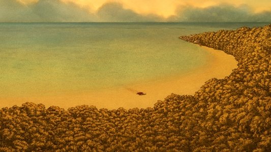 La tortue rouge