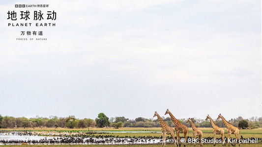 Planet Earth: Forces of Nature