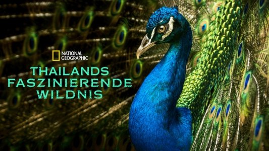 Thailand's Wild Side