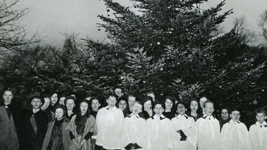 The National Christmas Tree, A Century of Celebration