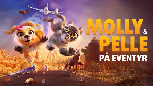 Gracie & Pedro: Pets to the Rescue
