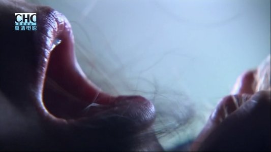 镖行天下前传1：四百里加急