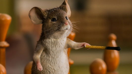 Hvis ingen går i fella