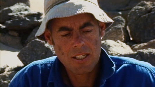 Stones and Flies: Richard Long in the Sahara