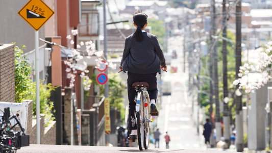先生の白い嘘