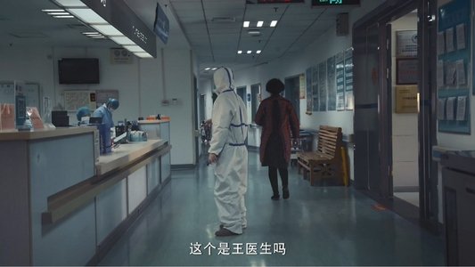 冬去春归·2020疫情里的中国
