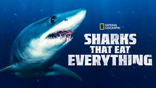 Sharks That Eat Everything