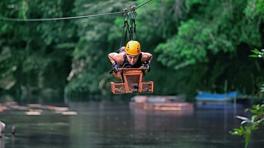 La ley de la selva