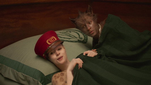 Cats