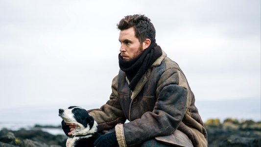 Shepherd