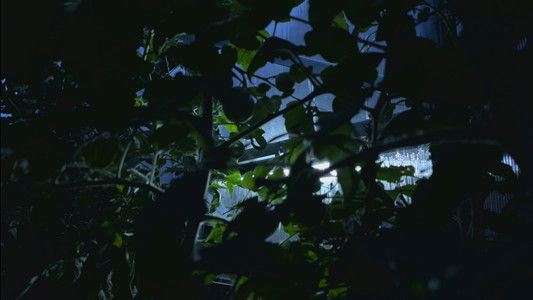 Latvijas Izmeklētāji