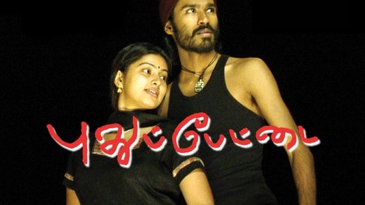 புதுப்பேட்டை