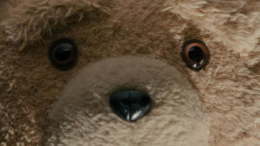 Ted